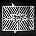 PROTEZIONE RADIATORE CON LOGO R&G PER TRIUMPH TRIDENT 660 2021 > 2024 INOX