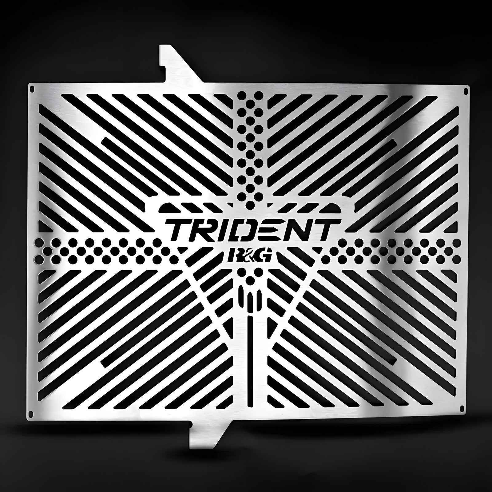 PROTEZIONE RADIATORE CON LOGO R&G PER TRIUMPH TRIDENT 660 2021 > 2024 INOX