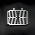PROTEZIONE RADIATORE CON LOGO R&G PER HUSQVARNA 125 SVARTPILEN 2021 > 2023 INOX