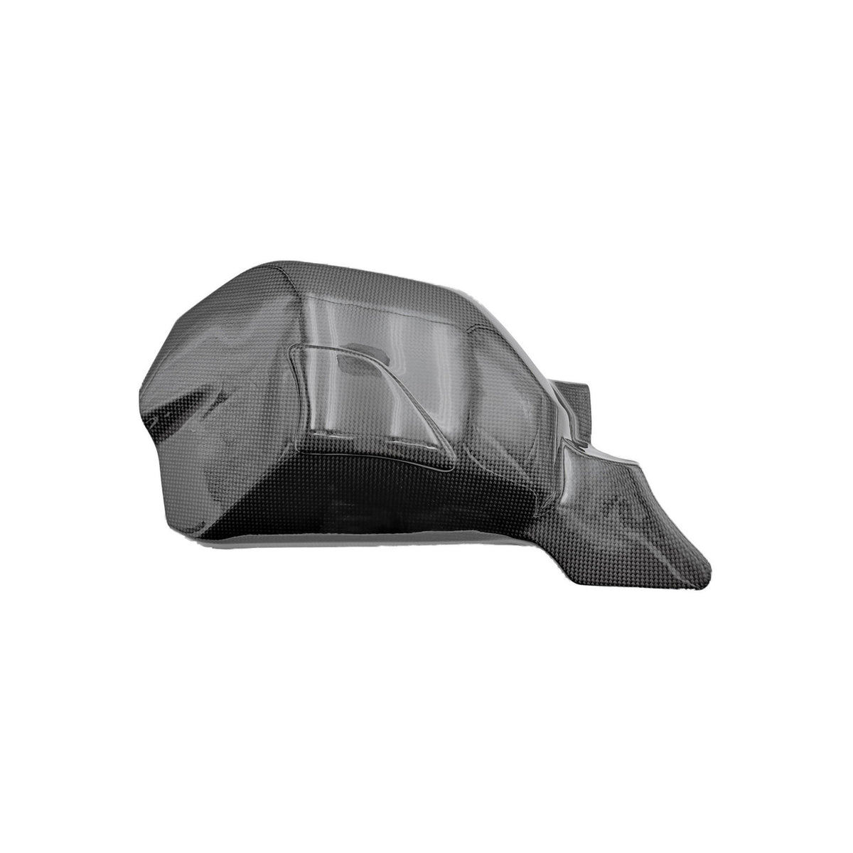 PROTEZIONI FORCELLONE IN CARBONIO LIGHTECH COMPATIBILE PER DUCATI STREETFIGHTER V4 2020 > 2024 COPPIA NERO LUCIDO CARD0760