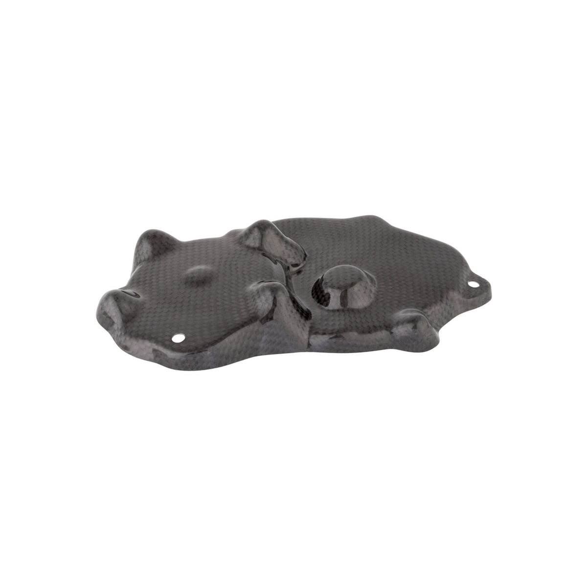 PROTEZIONE CARTER PICKUP IN CARBONIO LIGHTECH COMPATIBILE PER KAWASAKI ZX6R 2009 > 2025 1 PEZZO NERO LUCIDO CARK9518