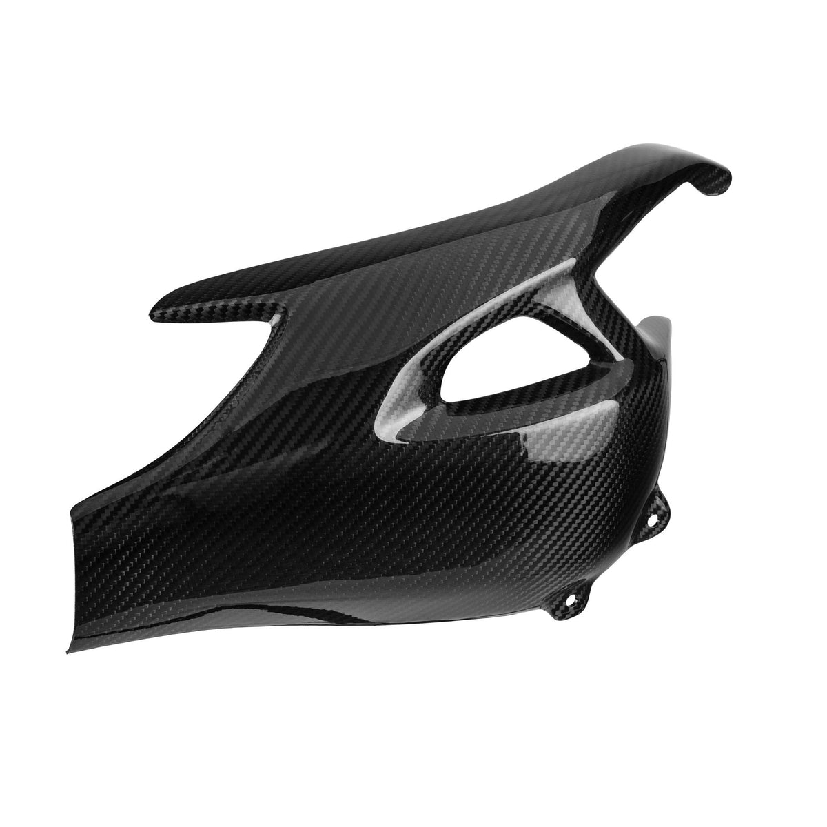 PROTEZIONI FORCELLONE IN CARBONIO LIGHTECH COMPATIBILE PER TRIUMPH SPEED TRIPLE 1200 RX 2021 > 2025 COPPIA NERO LUCIDO CART1260