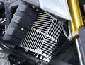 PROTEZIONE RADIATORE ACCIAIO R&G PER BMW G 310 R 2017 > 2023 INOX SRG0054SS